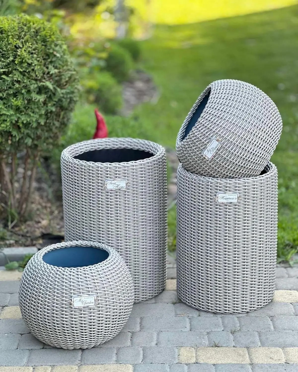 Любое исполнение