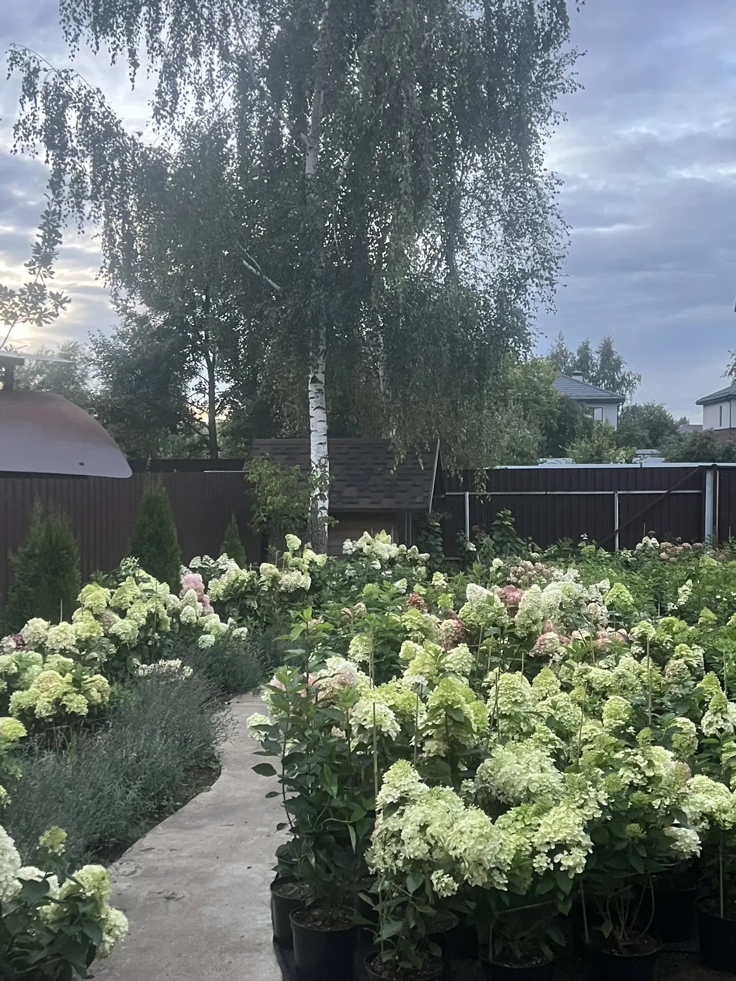 Питомник Gort Garden