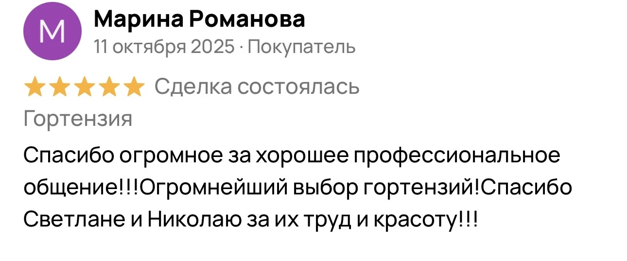 Отзыв 2