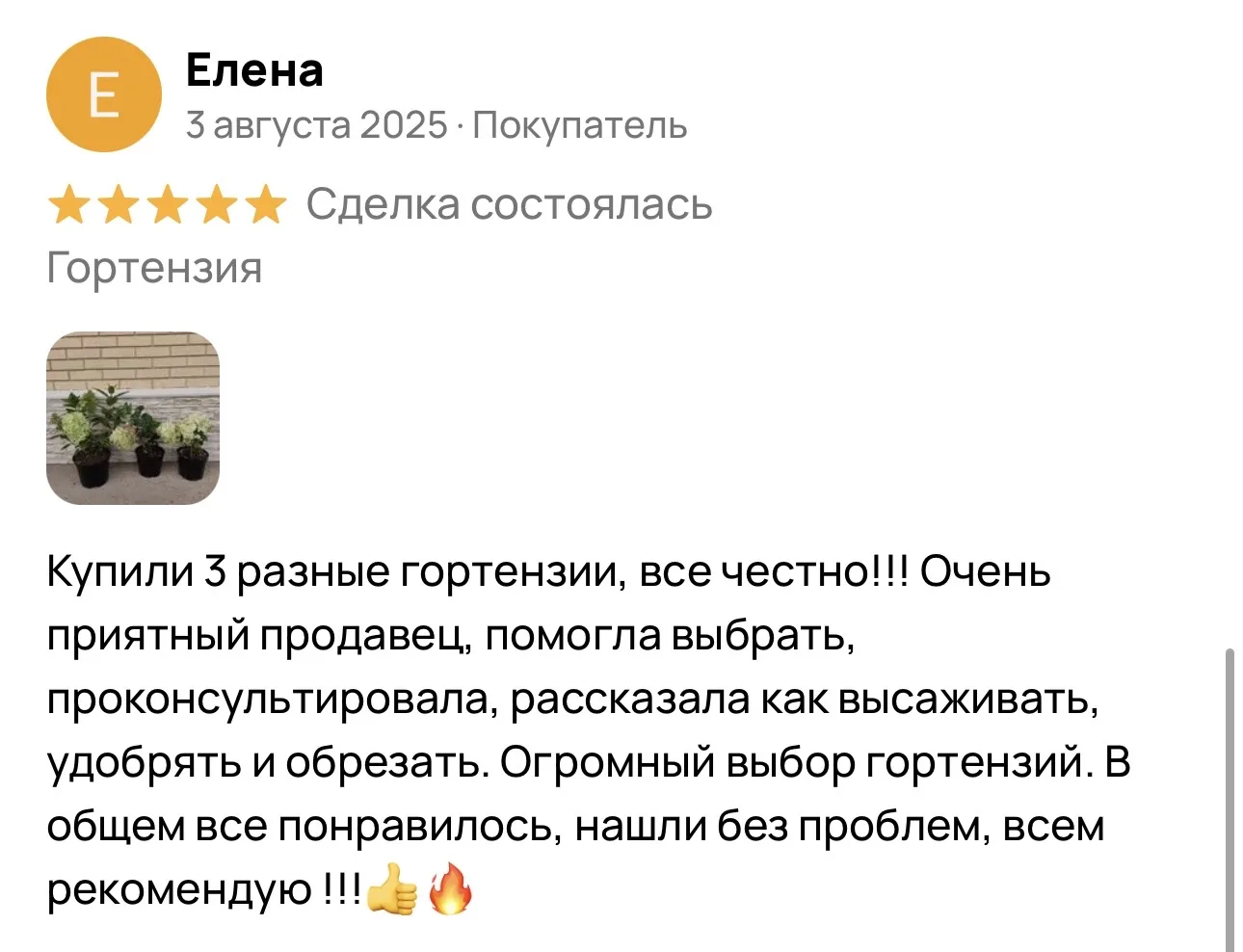 Отзыв 3