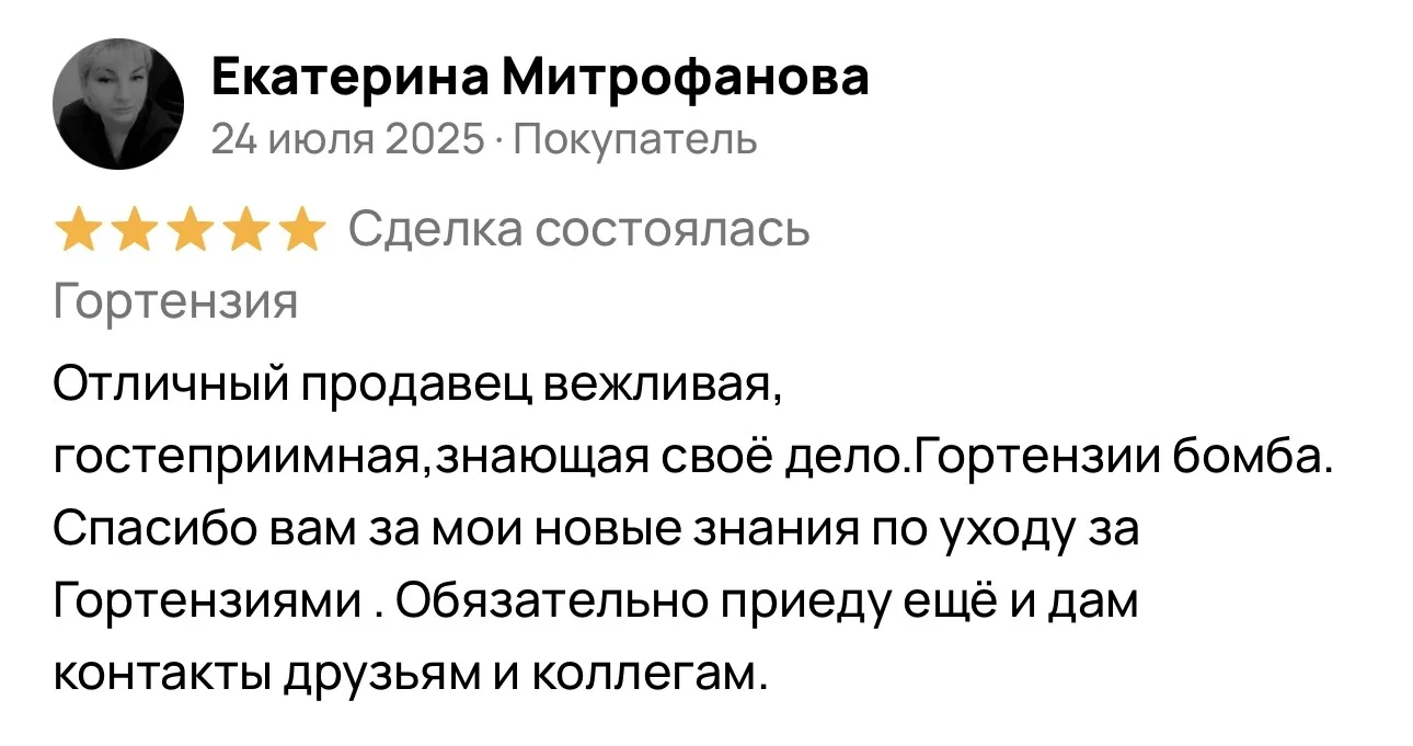 Отзыв 4