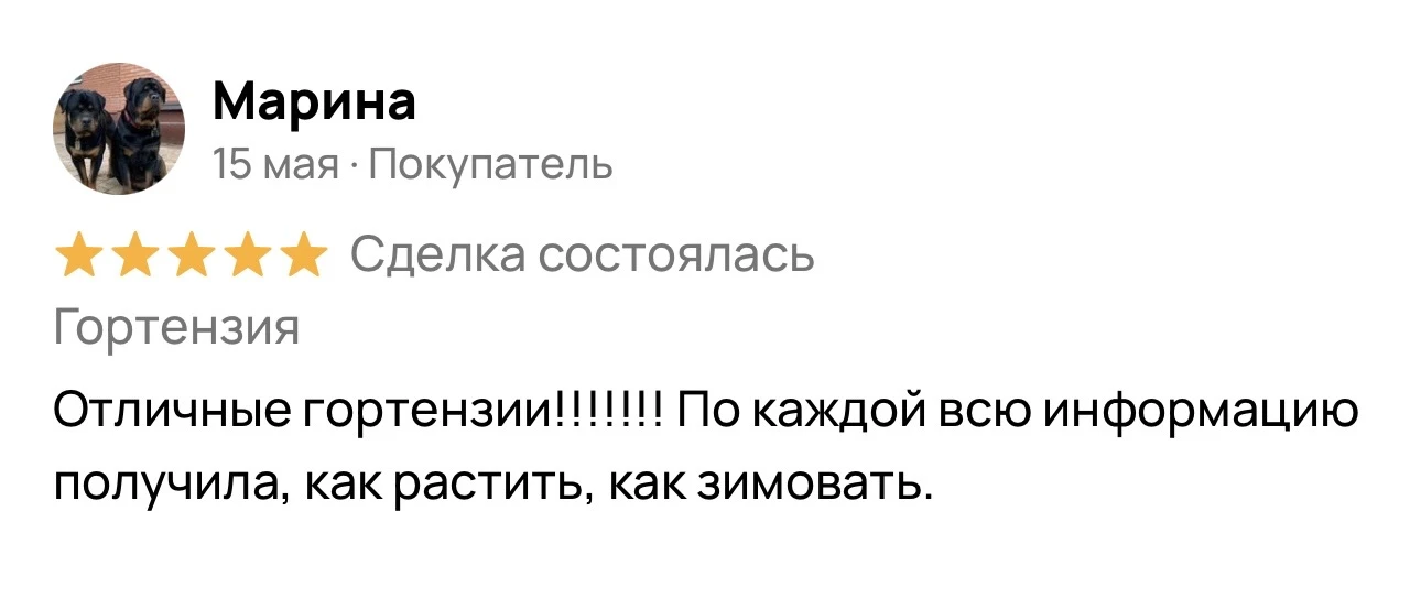 Отзыв 5